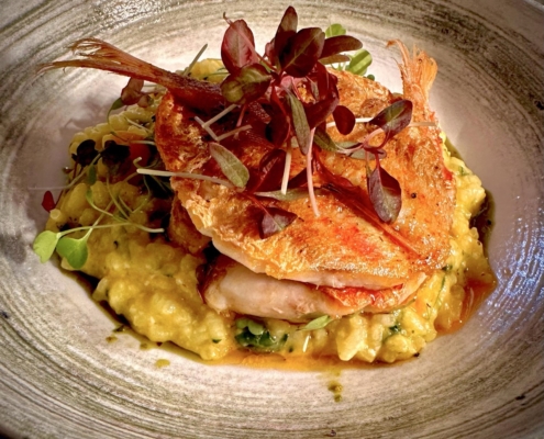 Penzance restaurant fayre from the Cork & Fork – a shellfish dish.